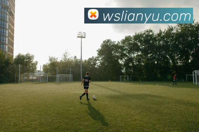 918博天堂APP 高清赛事图